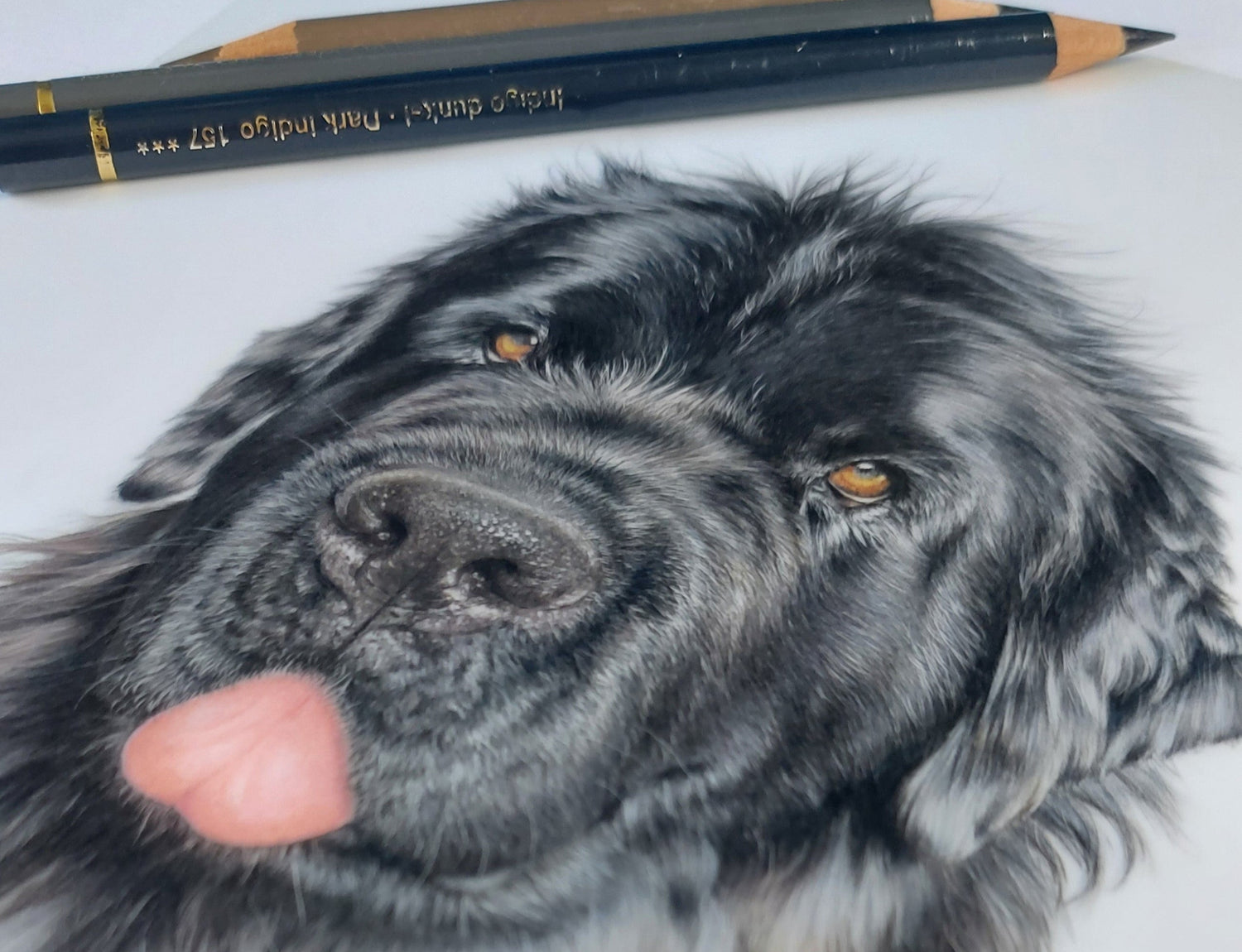Close-up detail of a coloured pencil pet portrait of a black Newfoundland dog showing realistic fur texture and expressive eyes