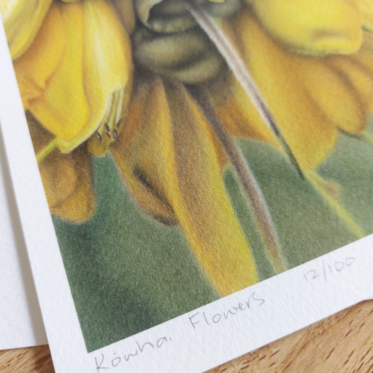 Kōwhai Flowers -Limited Edition Art Print