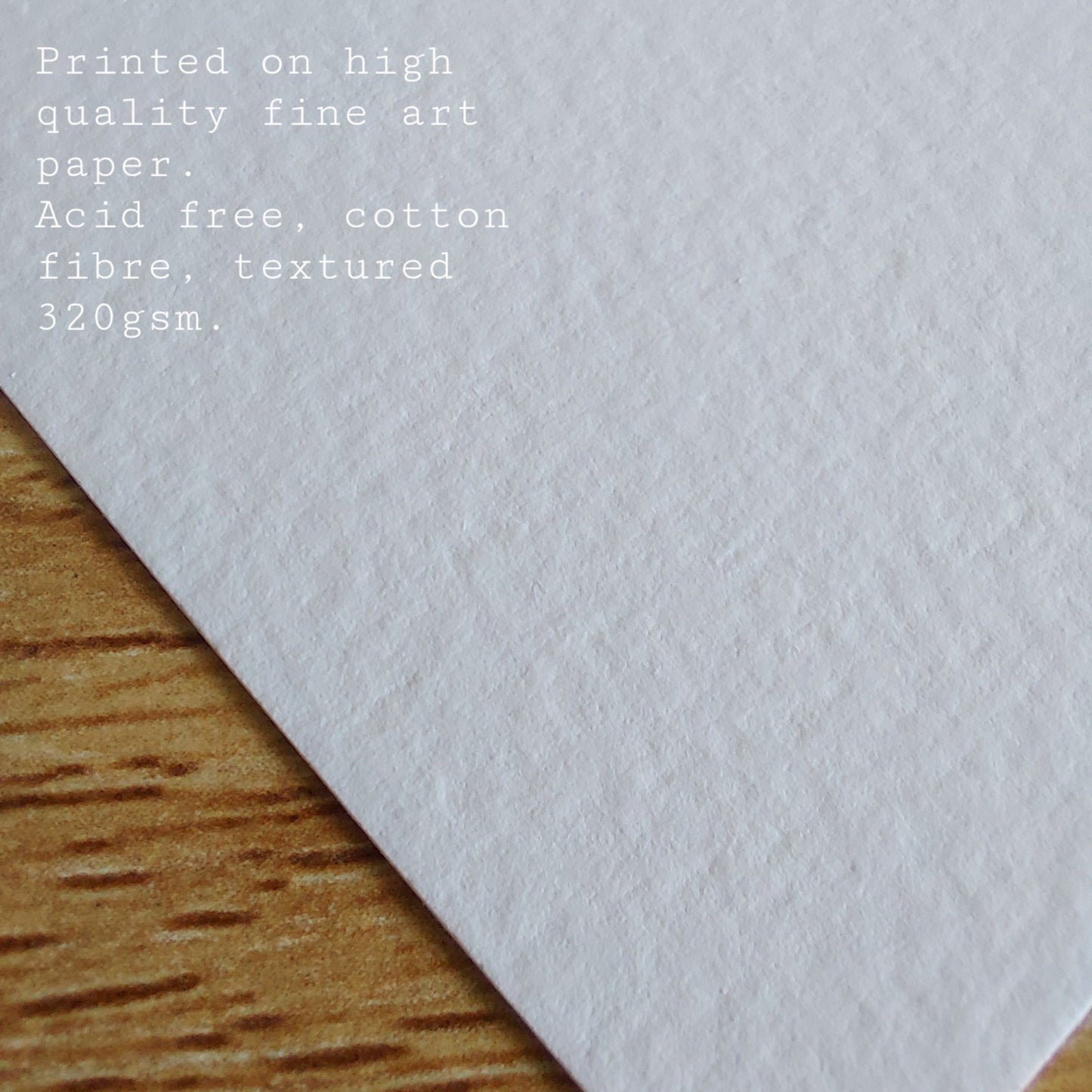 Chatham Islands Forget-Me-Not - Art Print