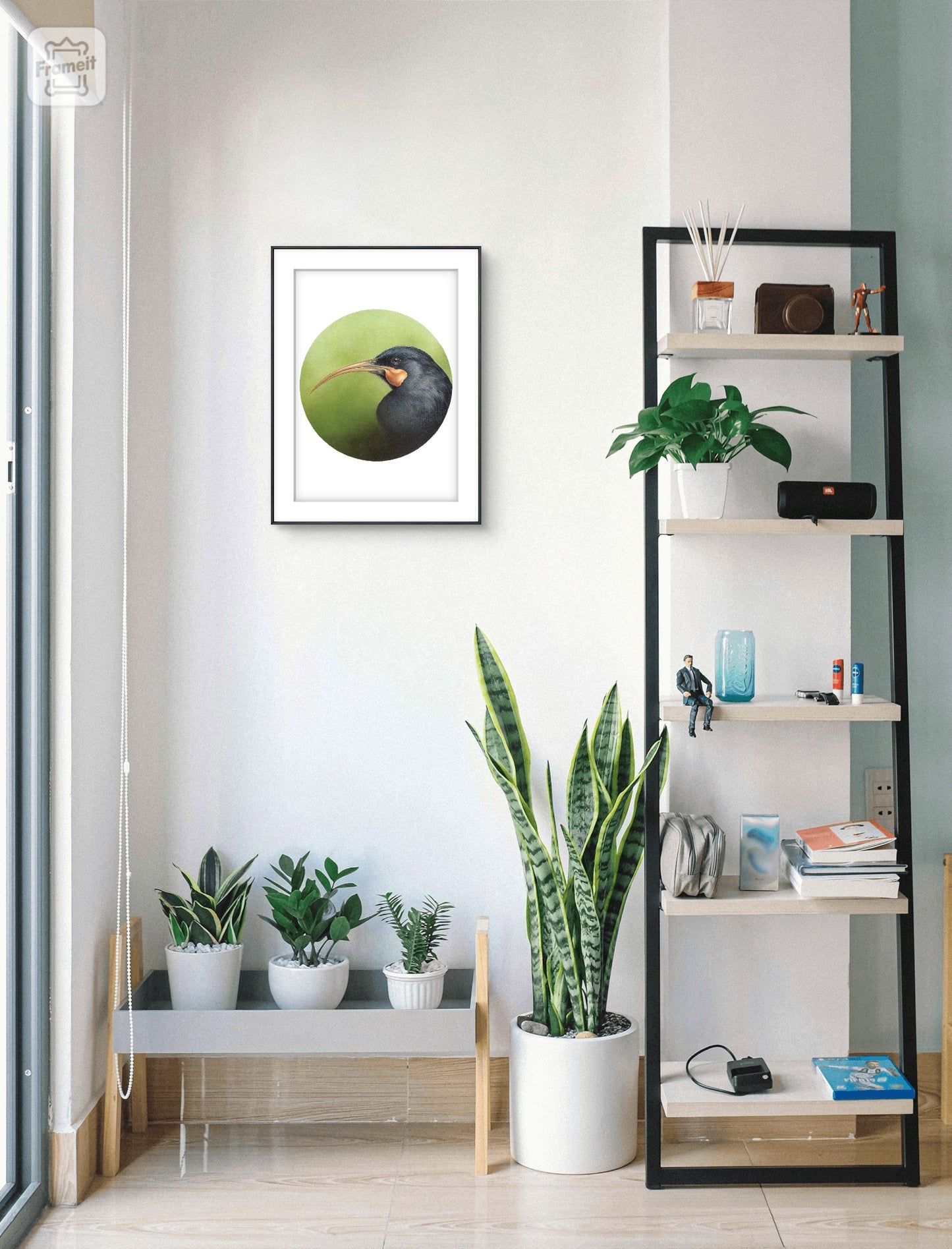 Huia (Circle Series) -Art Print