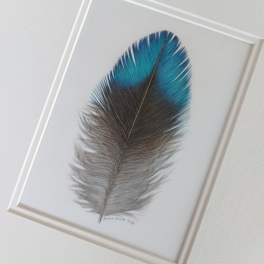 Fluffy Tui Feather - Original Pencil Artwork