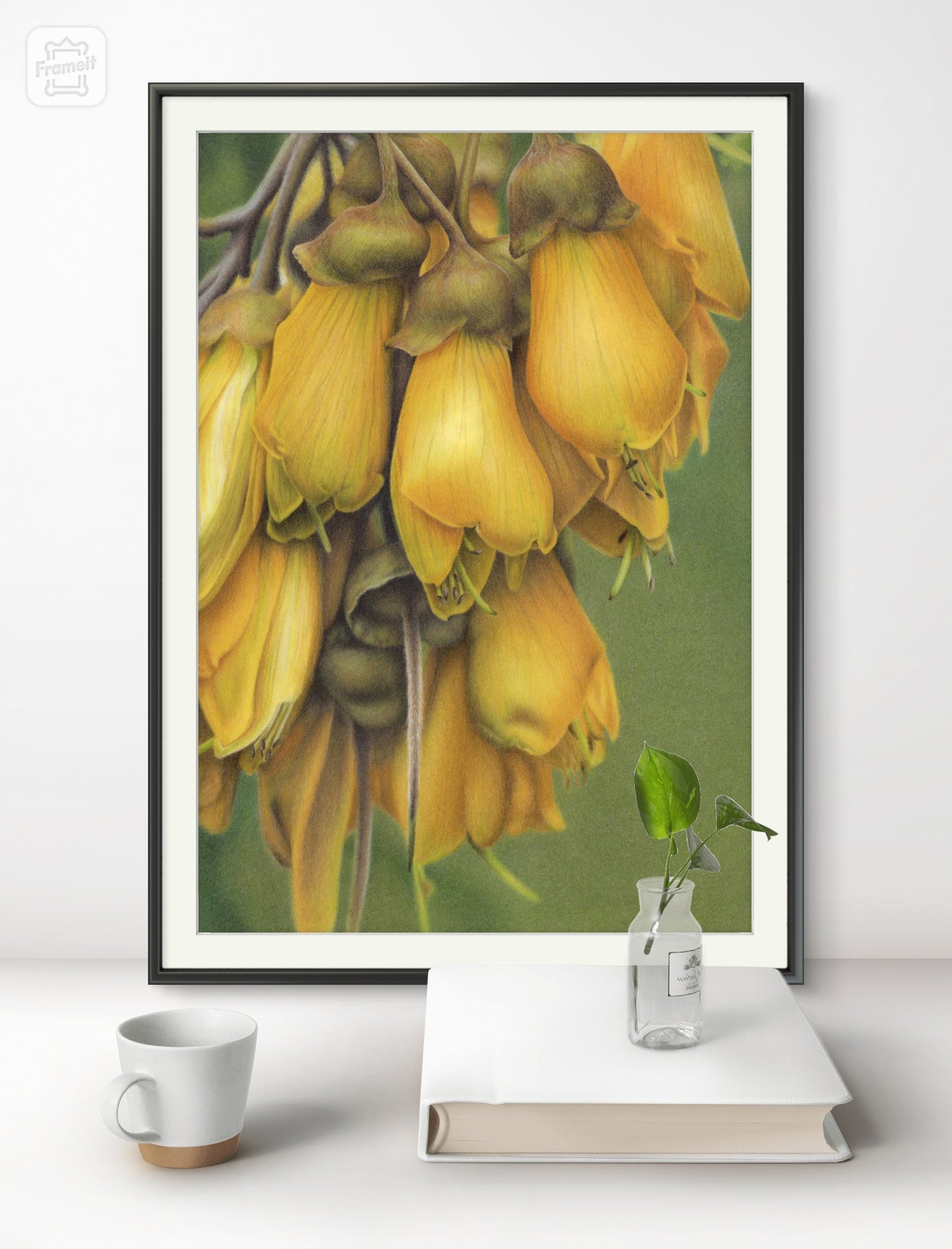 Kōwhai Flowers -Limited Edition Art Print
