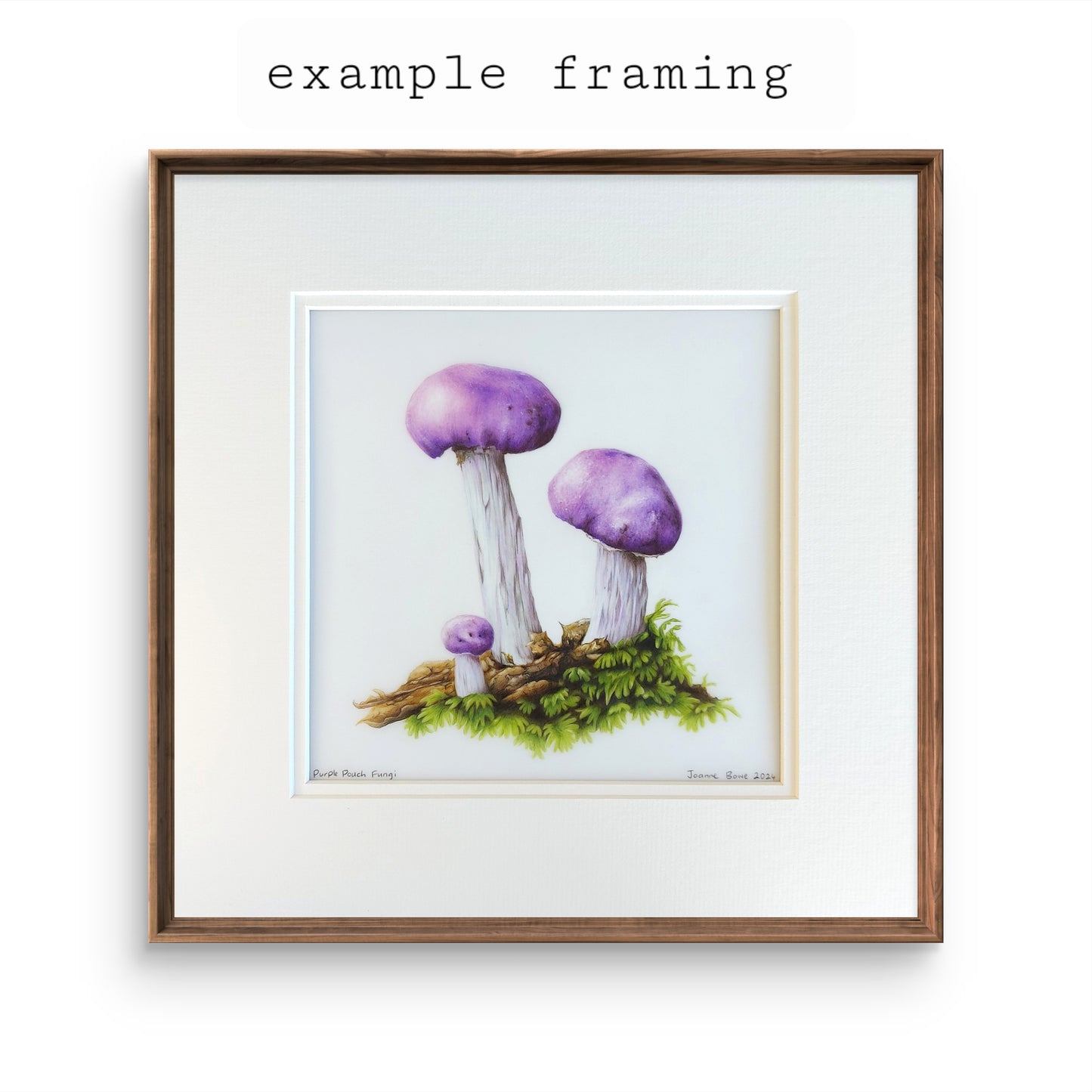 Purple Pouch Fungi - Original Pencil Artwork