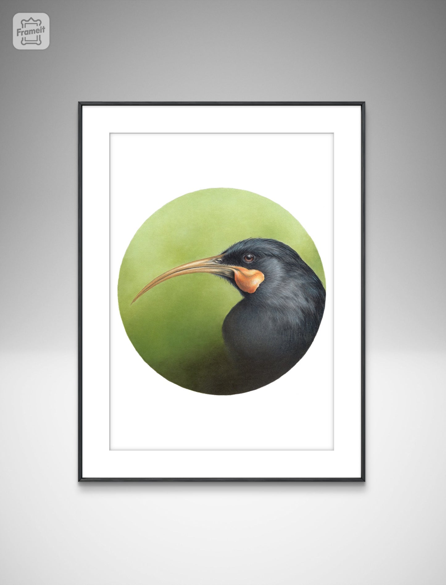 Huia (Circle Series) -Art Print