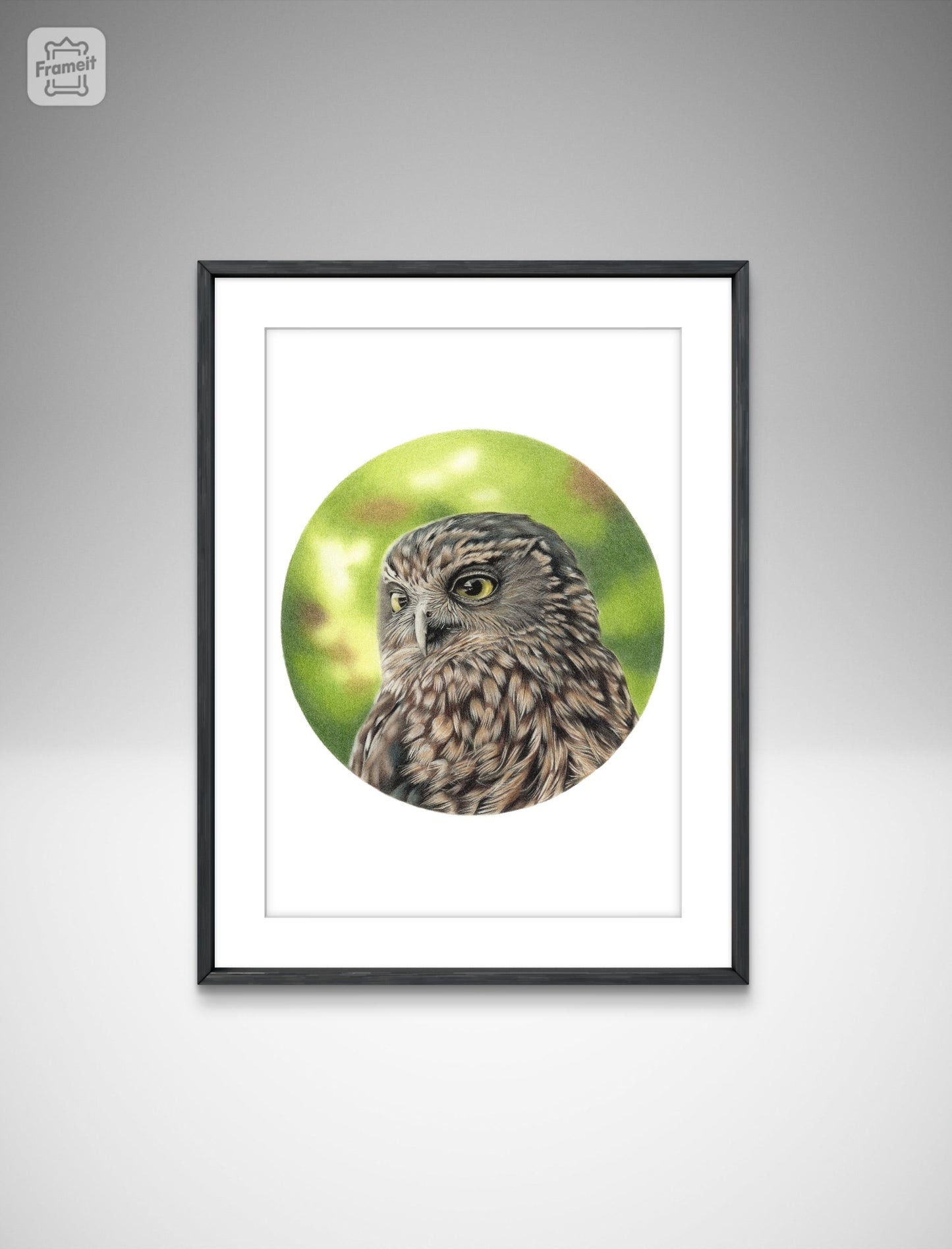 Morepork (Circle Series) -Art Print