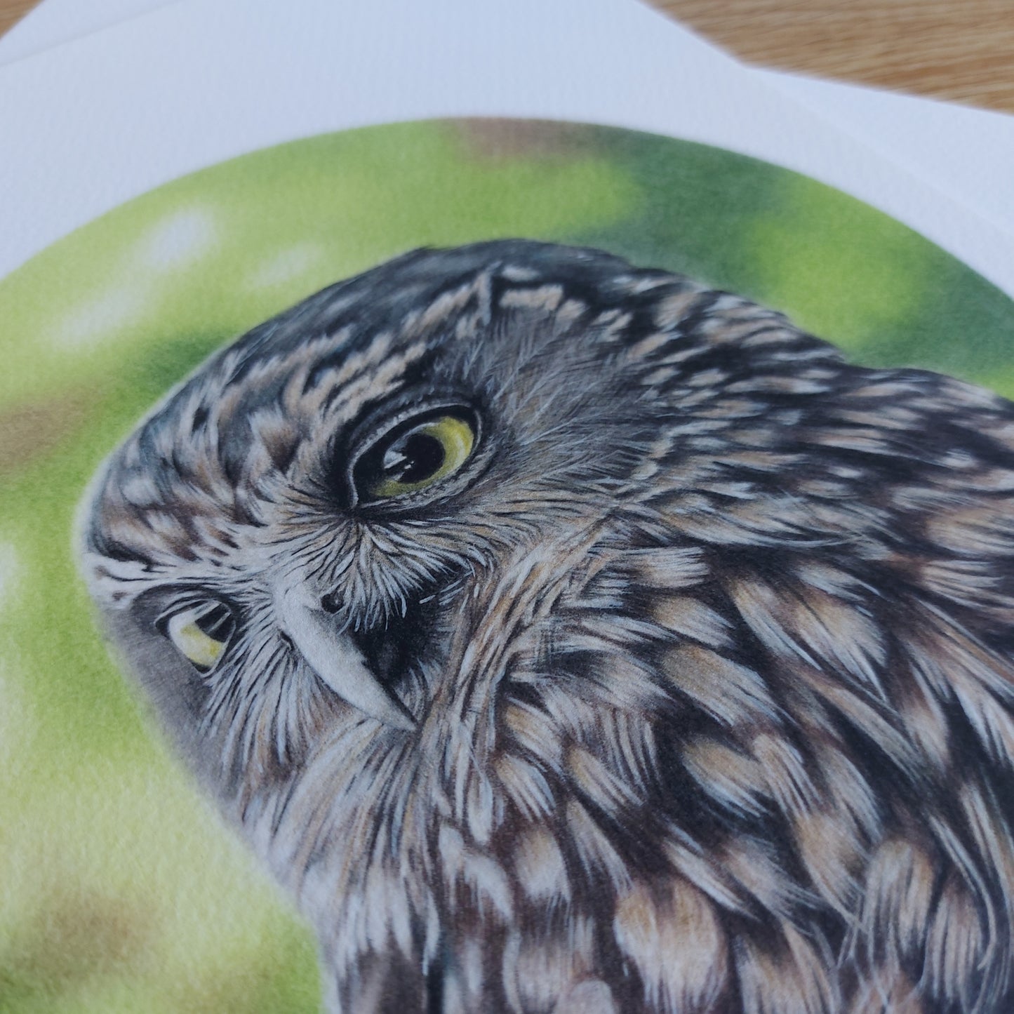 Morepork (Circle Series) -Art Print