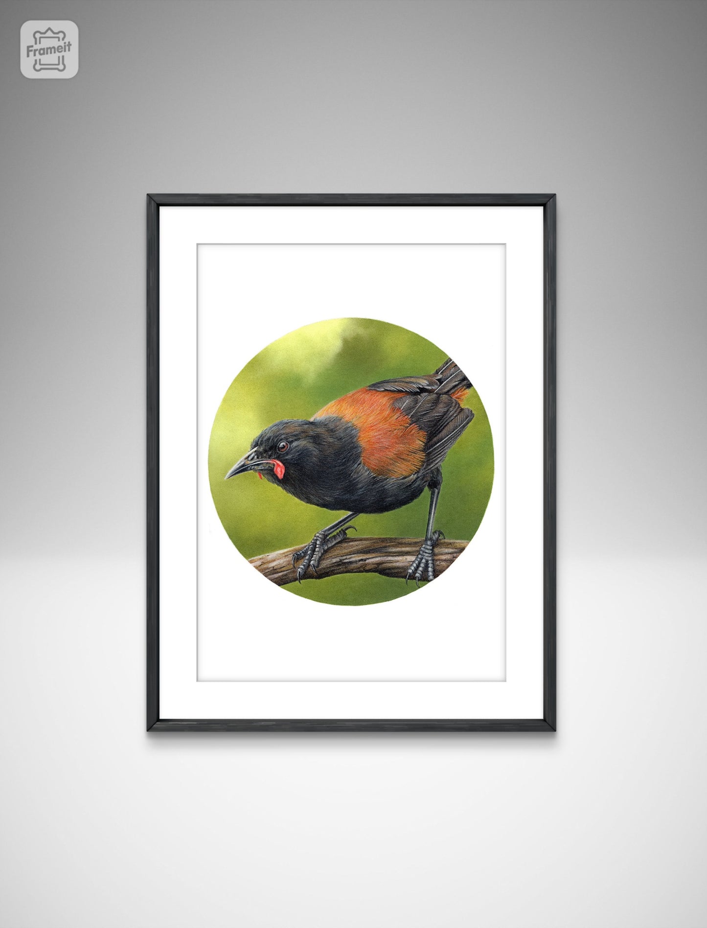 Saddleback (Circle Series) -Art Print