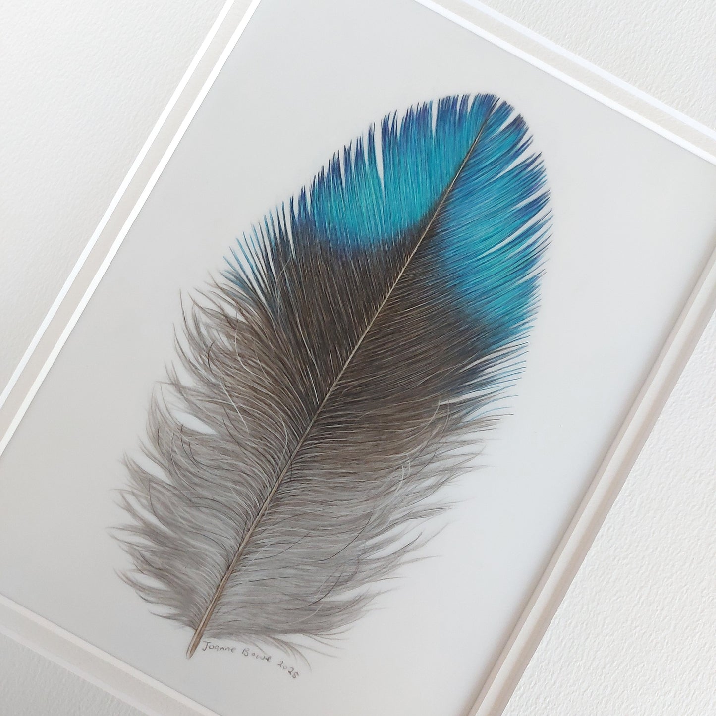 Fluffy Tui Feather - Original Pencil Artwork