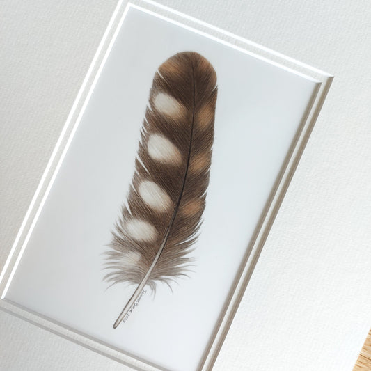 Close-up detail of the coloured pencil drawing, showing the fine texture and subtle markings of the ruru feather.