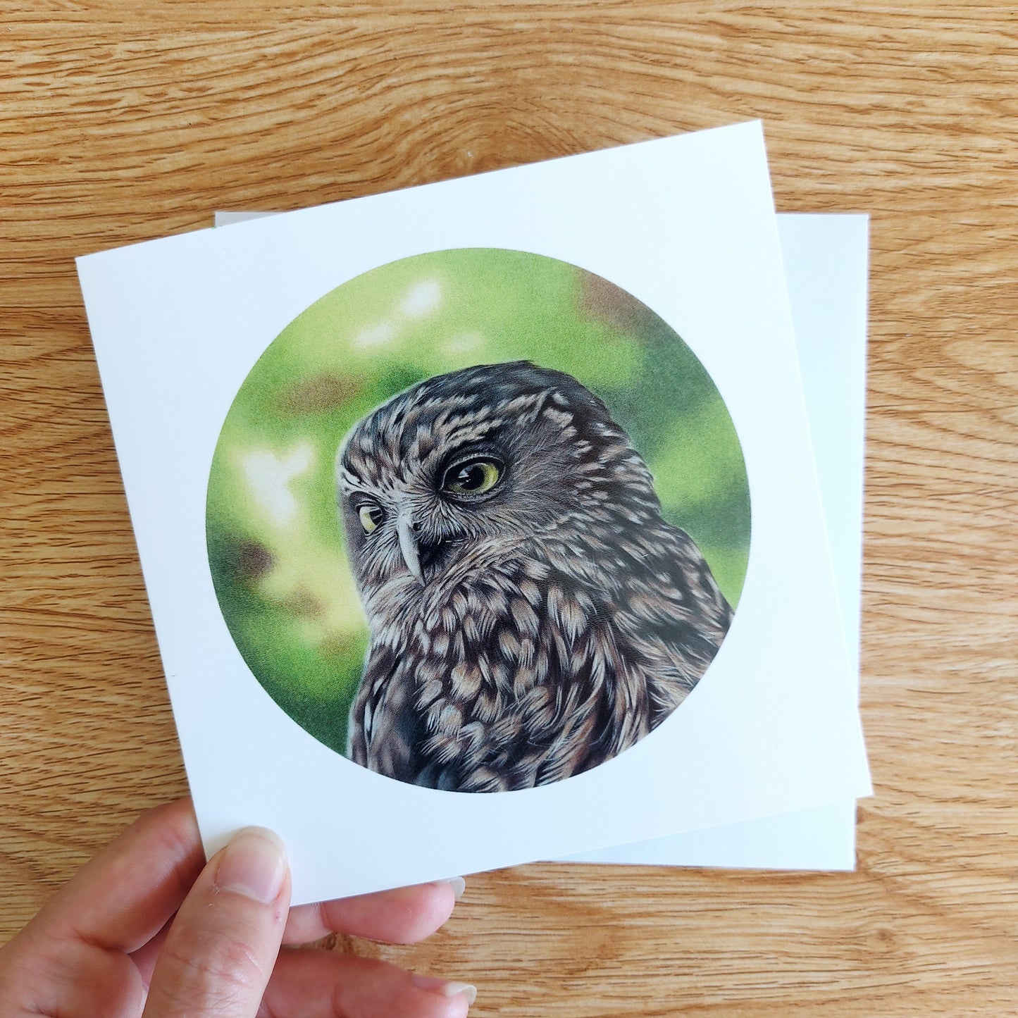 Greeting card featuring a coloured pencil illustration of a New Zealand morepork owl
