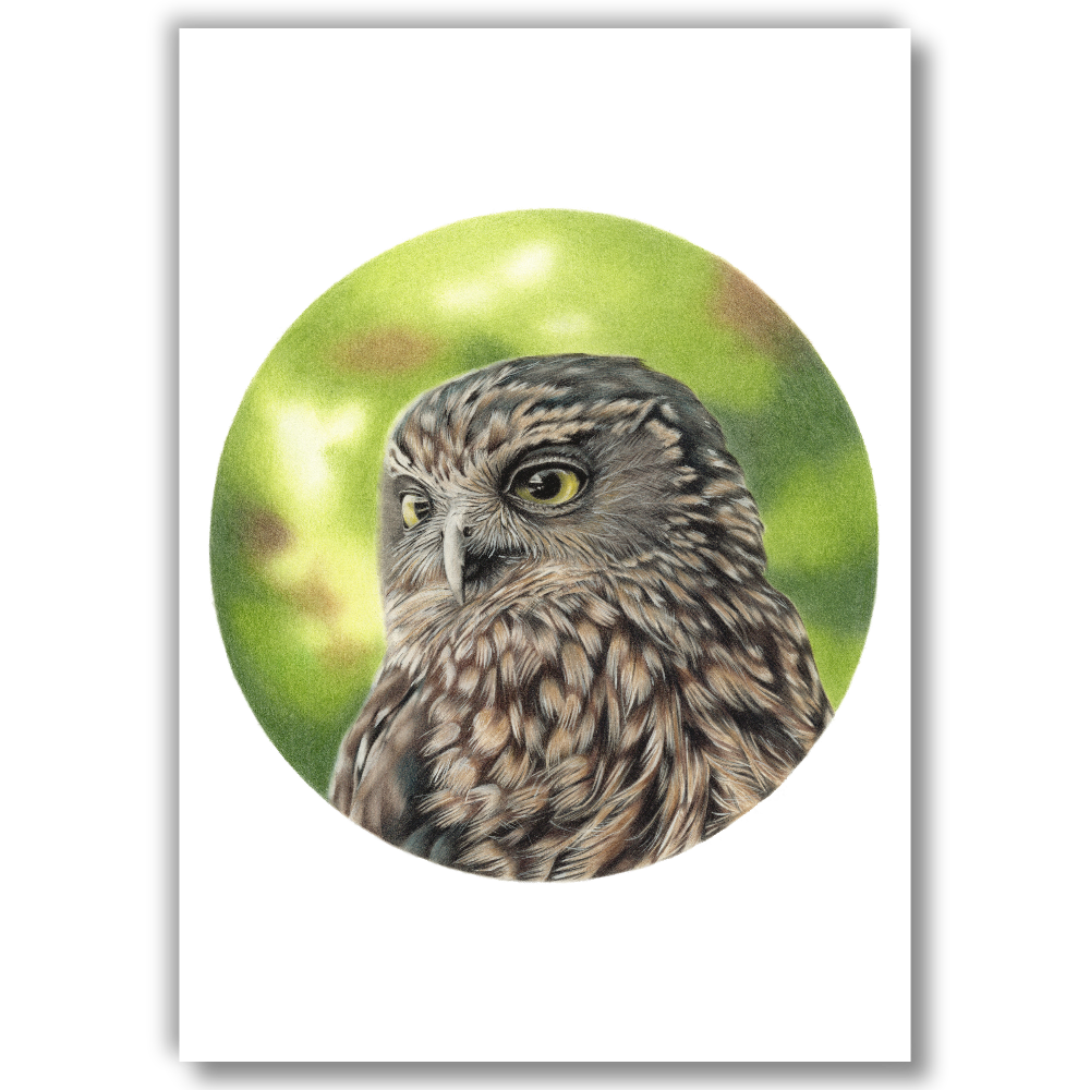 Ruru — Open Edition Art Print (Studio Clearout)