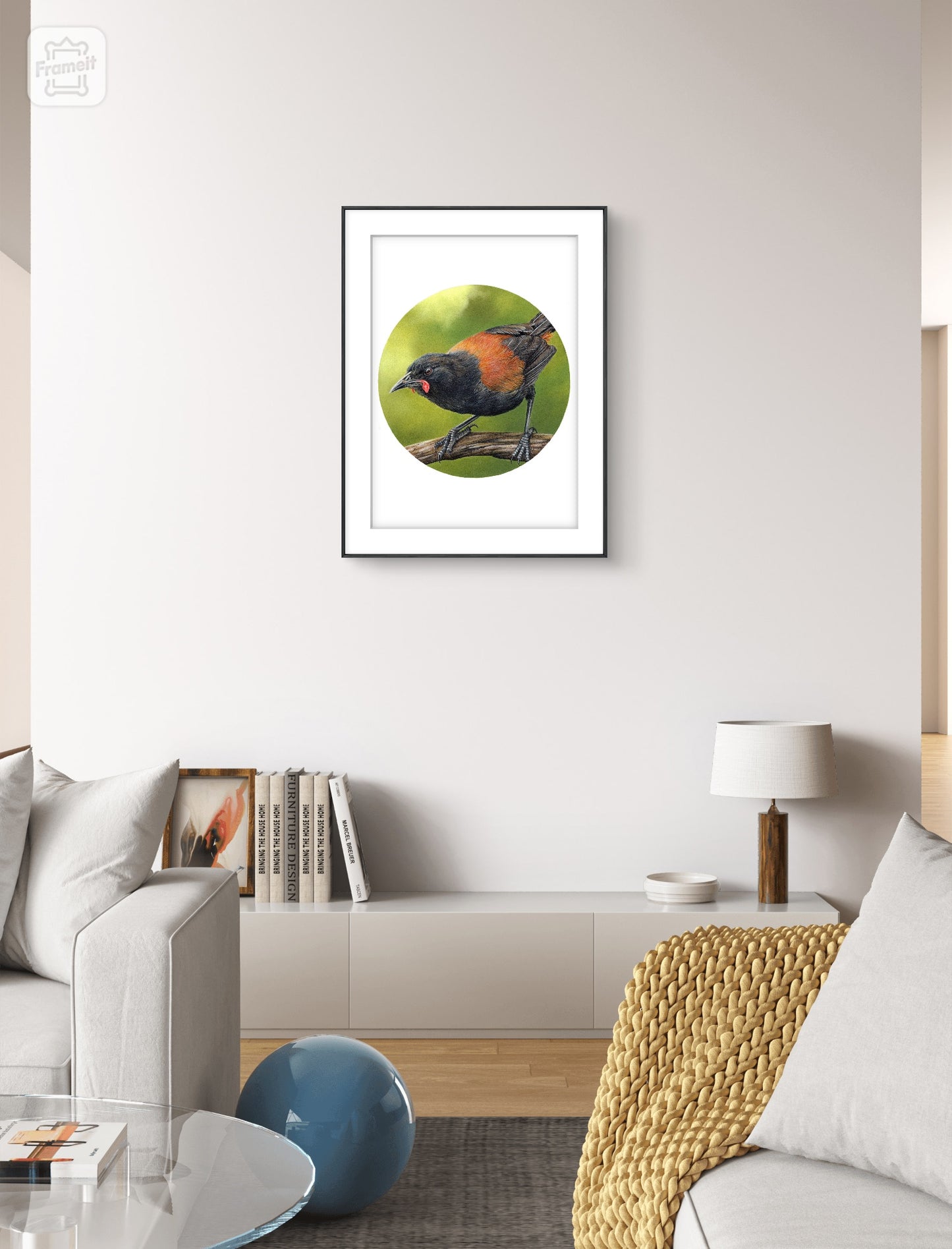 Saddleback (tīeke) open edition art print styled in a calm home interior setting, showing scale and presentation.