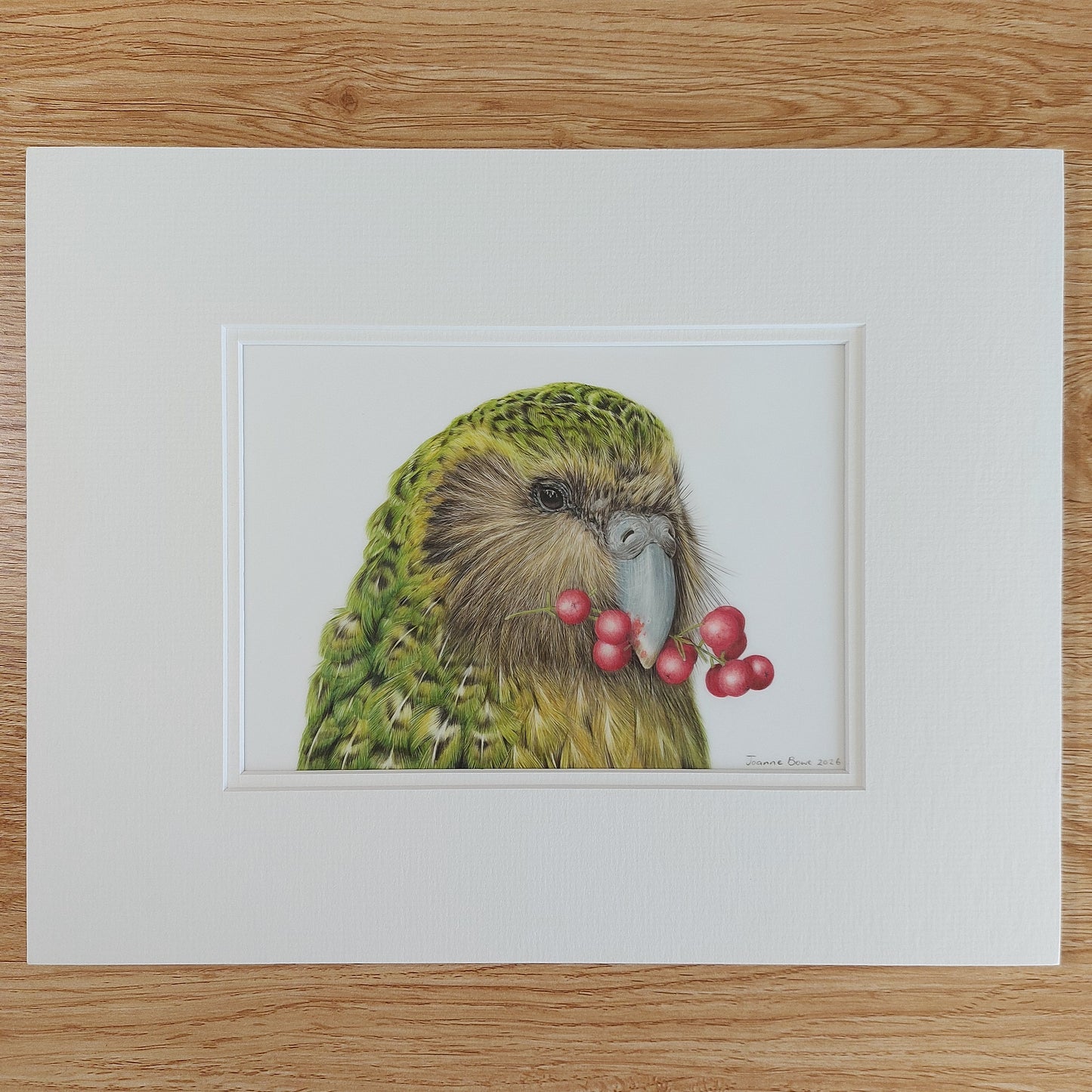 Sirocco the kākāpō original coloured pencil artwork by Joanne Bowe NZ Artist