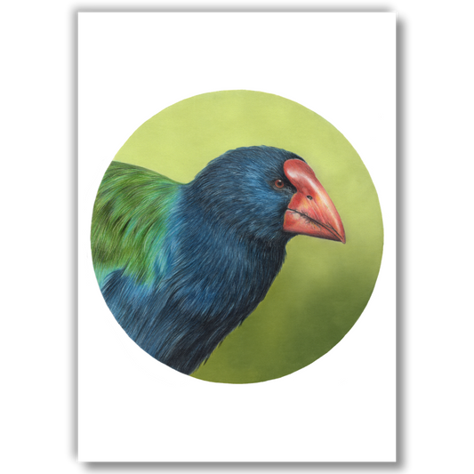 Open edition fine art print of a takahē, reproduced from an original coloured pencil drawing.