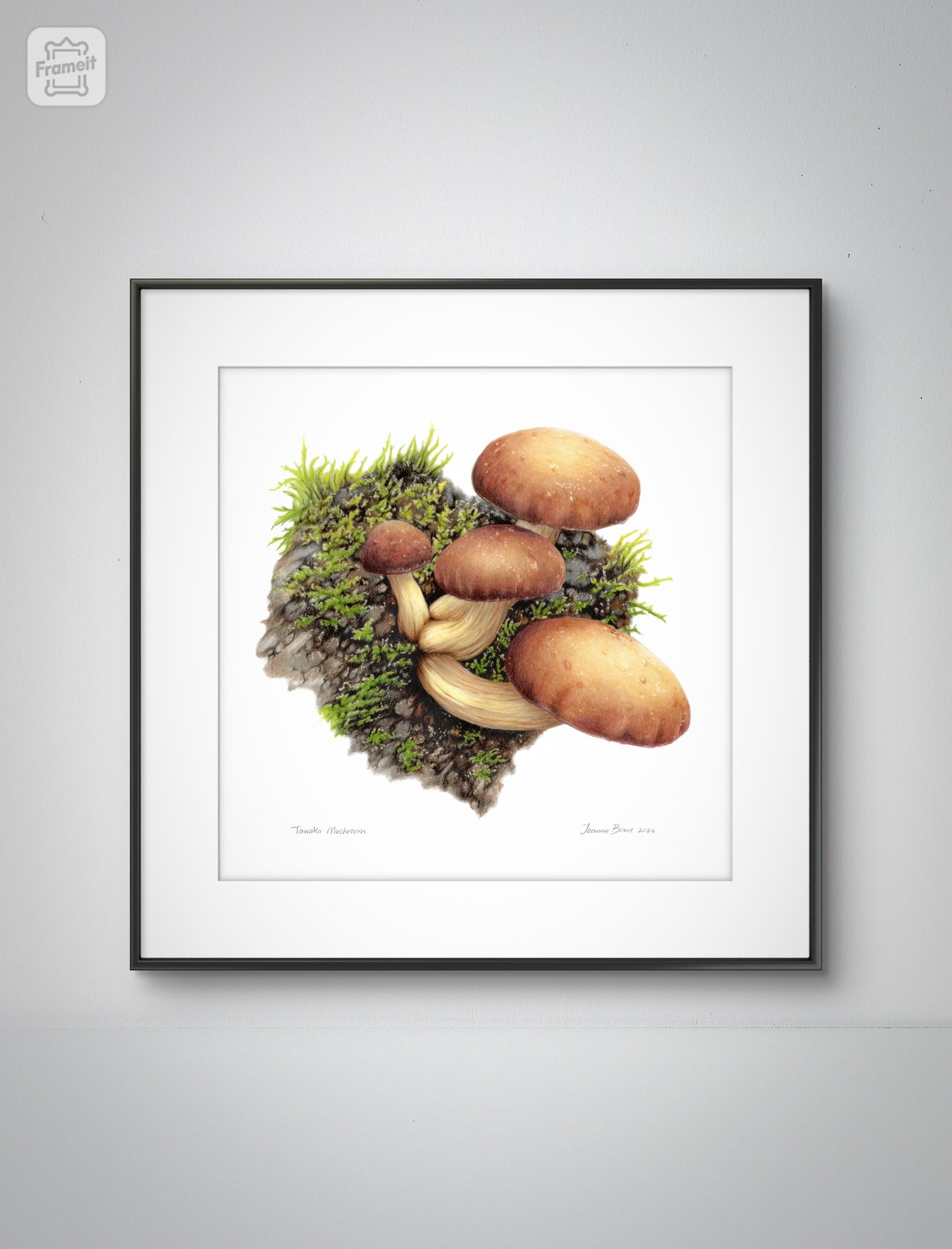 Tawaka Mushroom open edition art print styled in a calm home interior setting, showing scale and presentation.