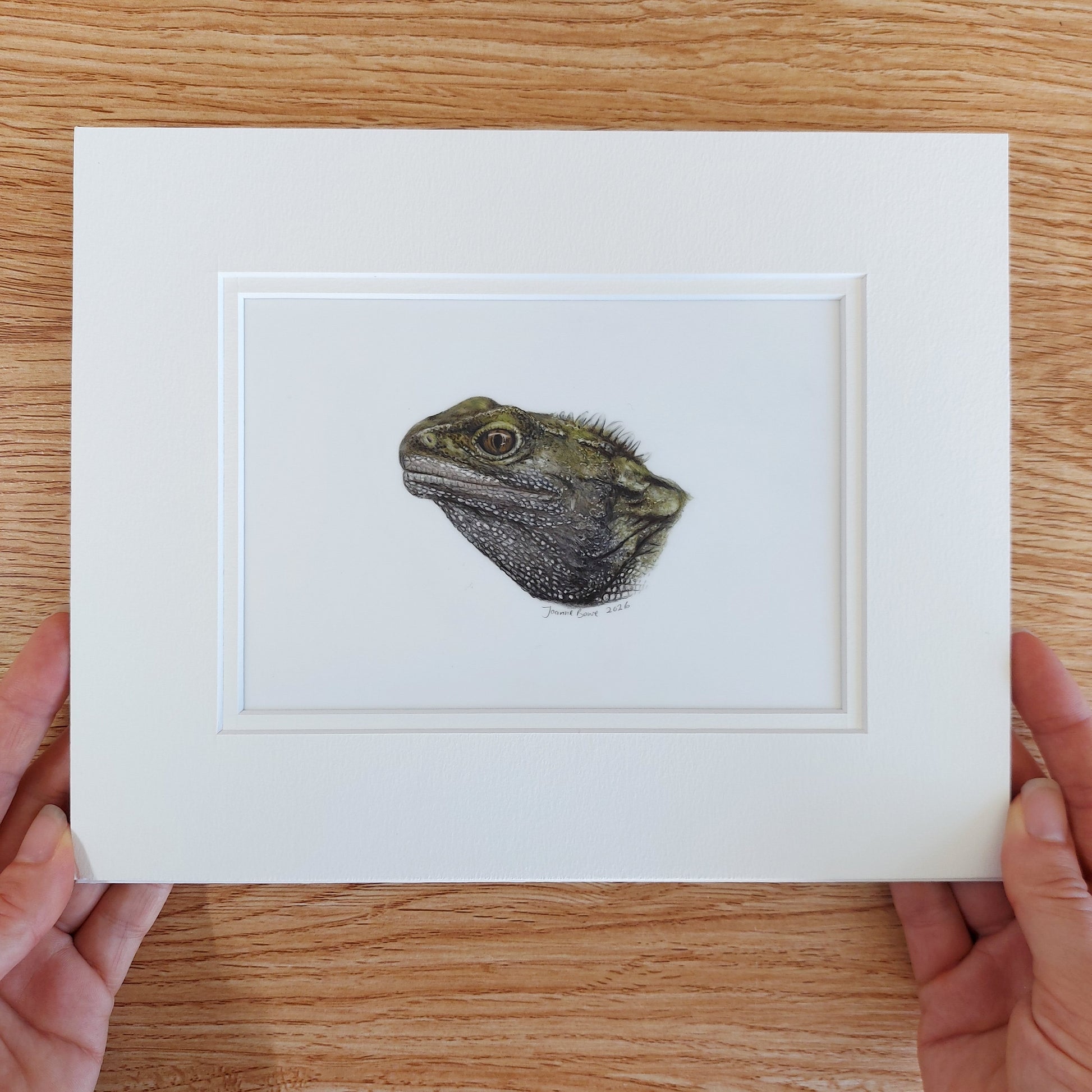 Mini tuatara coloured pencil drawing by New Zealand artist Joanne Bowe