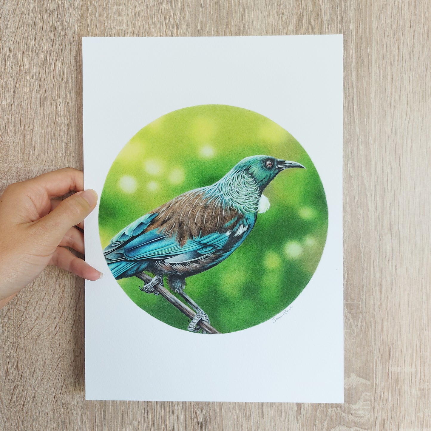 Detail of coloured pencil artwork showing feather texture and form of a tūī.