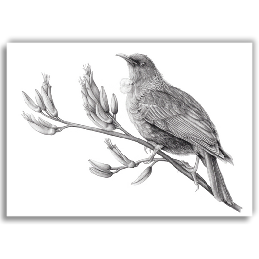 Tui A5 Art Print