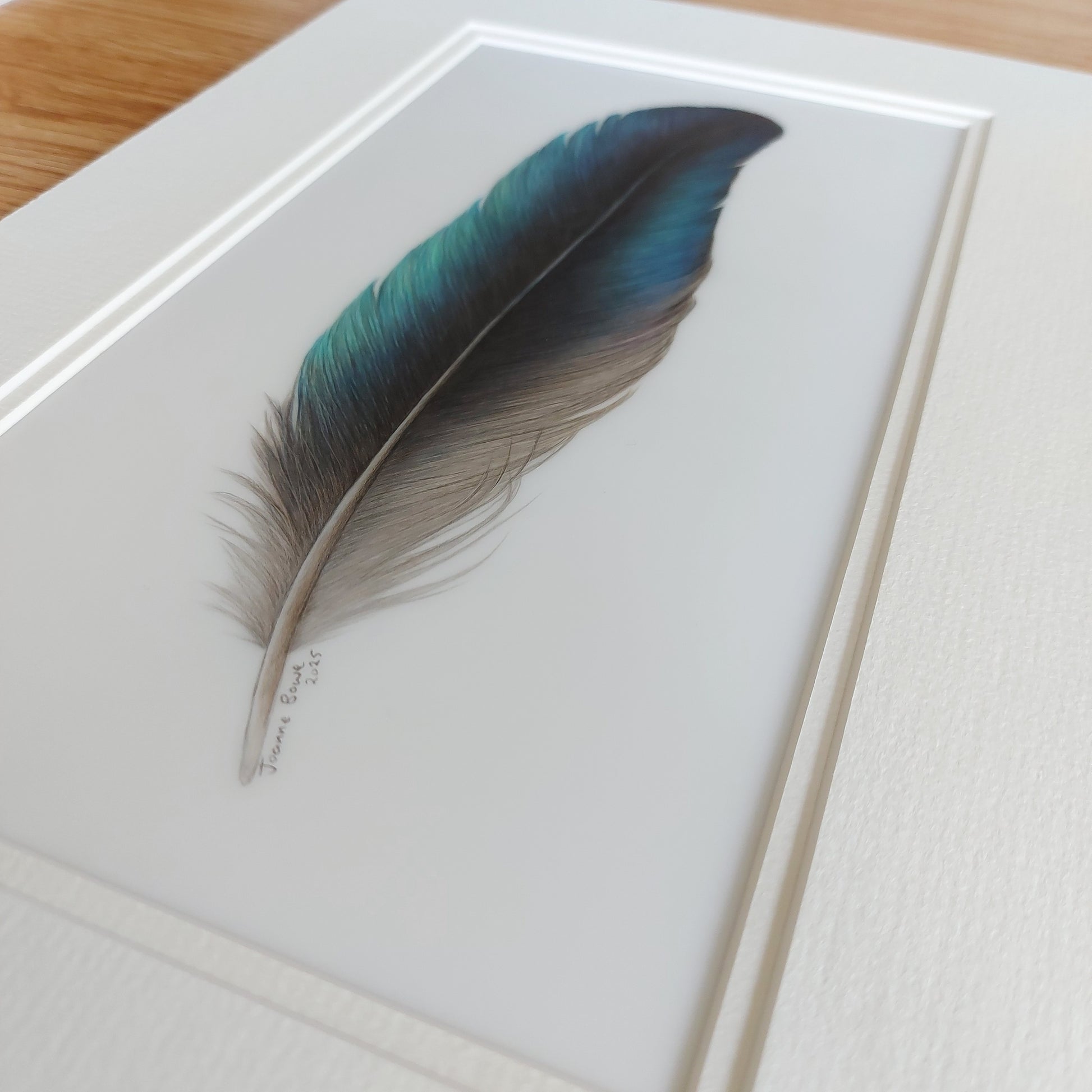 tui feather drawing