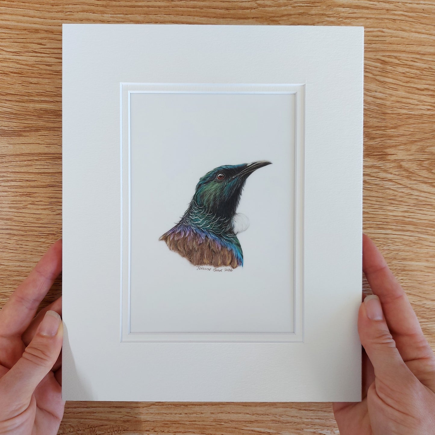 matted tui drawing ready to frame