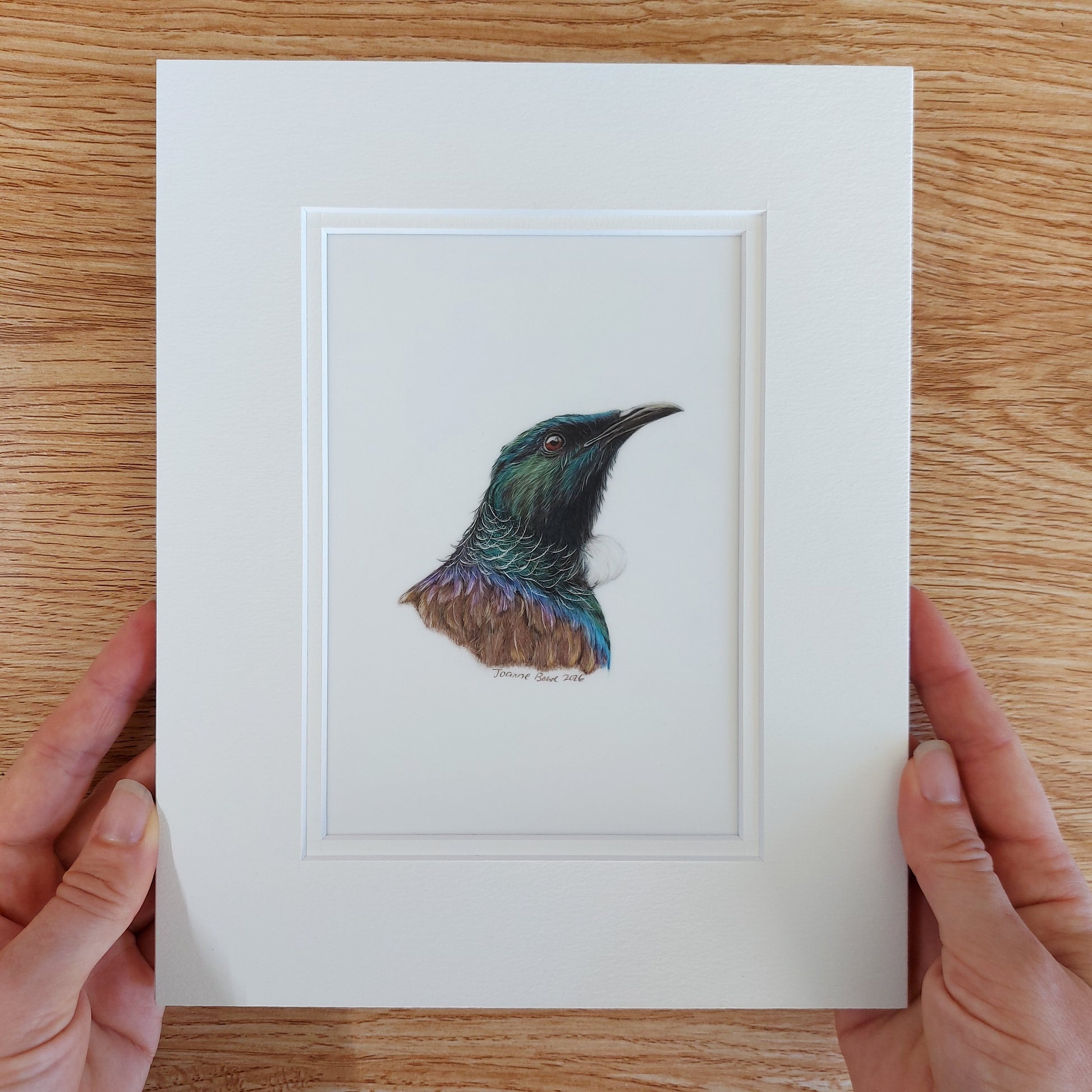 matted tui drawing ready to frame