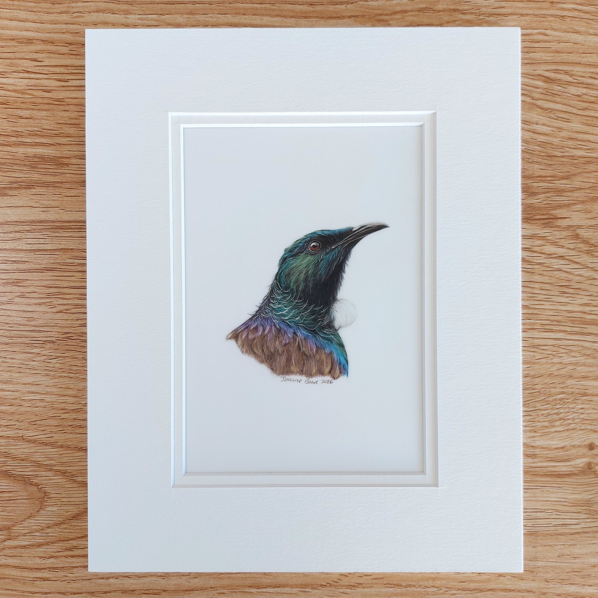 tui drawing matted and ready to frame