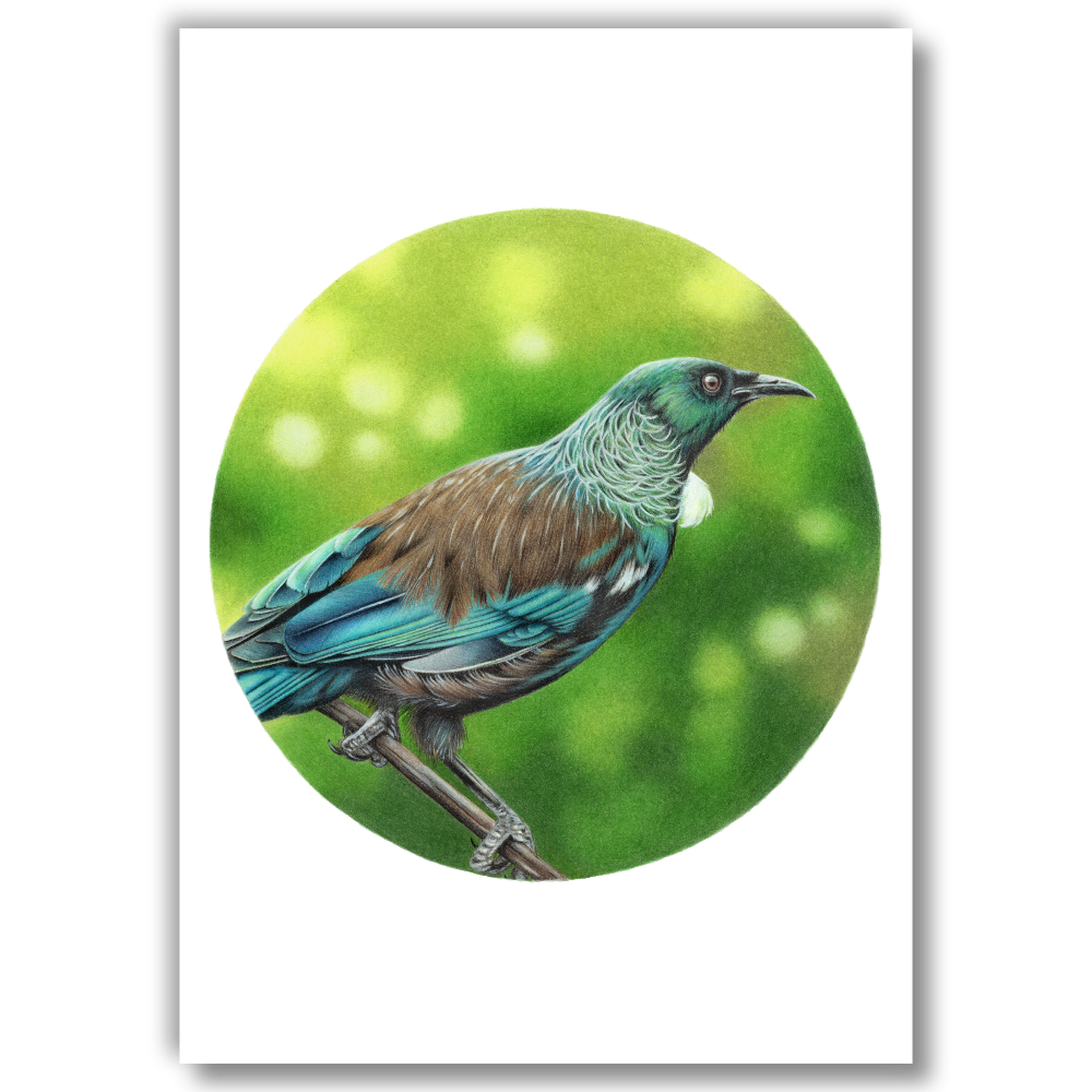 Tui — Open Edition Art Print (Studio Clearout)