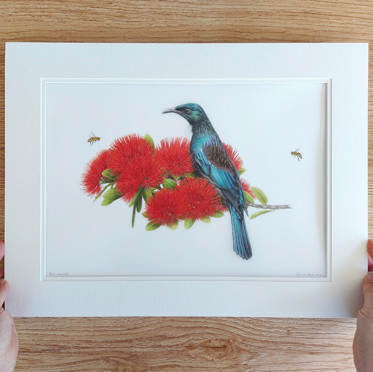 Tūī’s Summer original coloured pencil artwork featuring a tūī among pōhutukawa flowers and bees