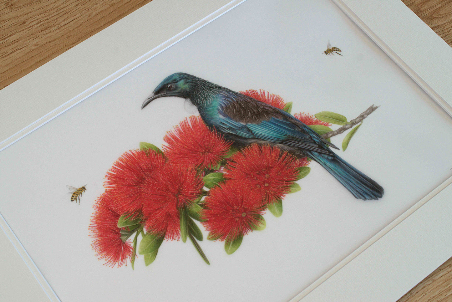 Close-up of tūī in Tūī’s Summer coloured pencil artwork