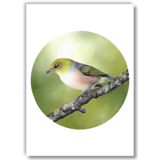 Waxeye (Circle Series) - Joanne Bowe | New Zealand Artist