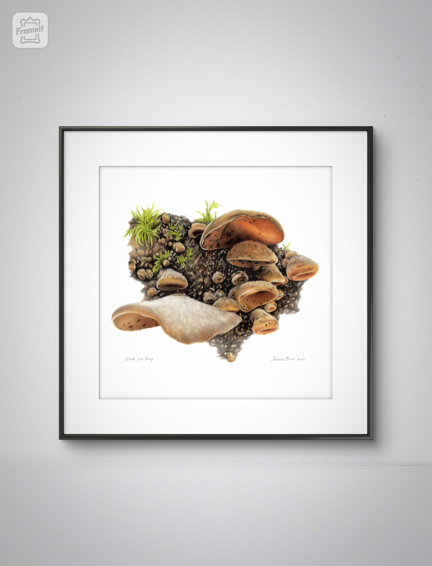 Wood Ear Fungi open edition art print styled in a calm home interior setting,