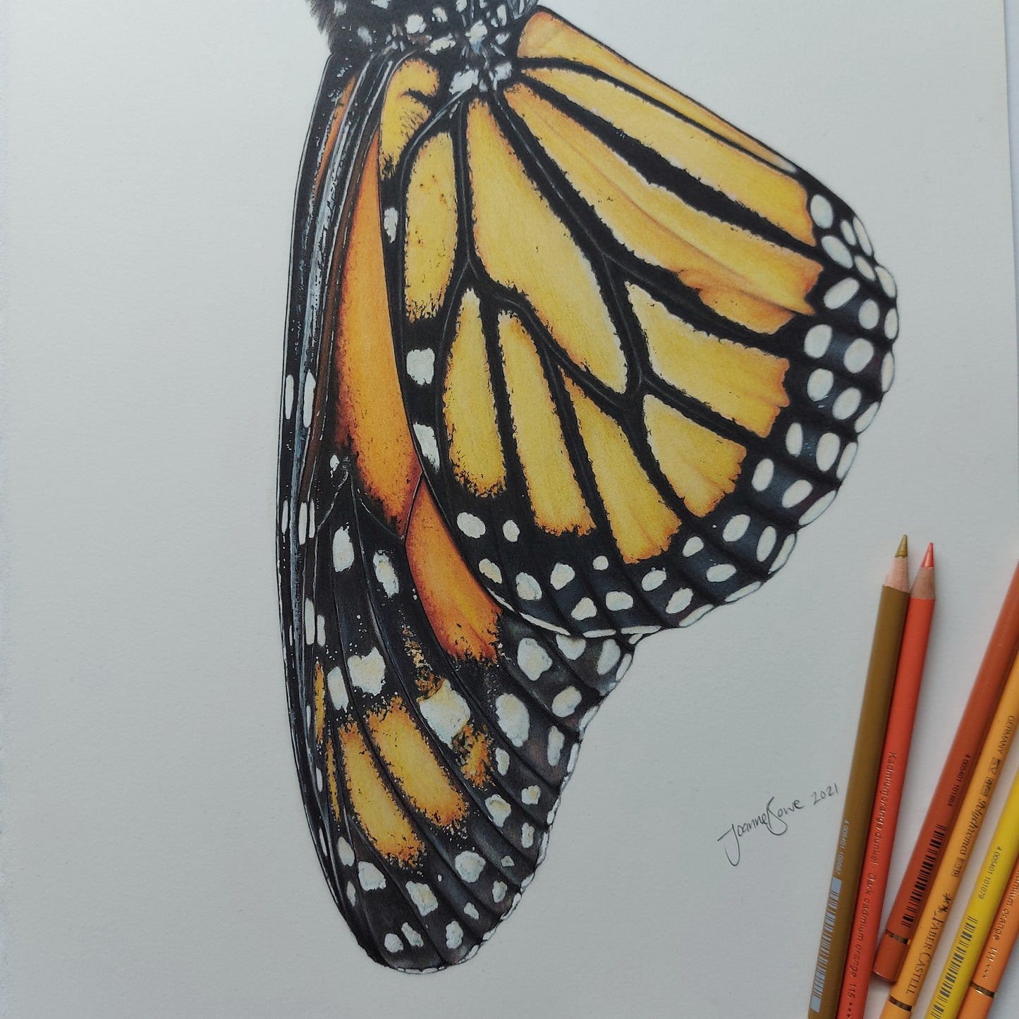 Monarch & Kowhai ORIGINAL - Joanne Bowe | New Zealand Artist