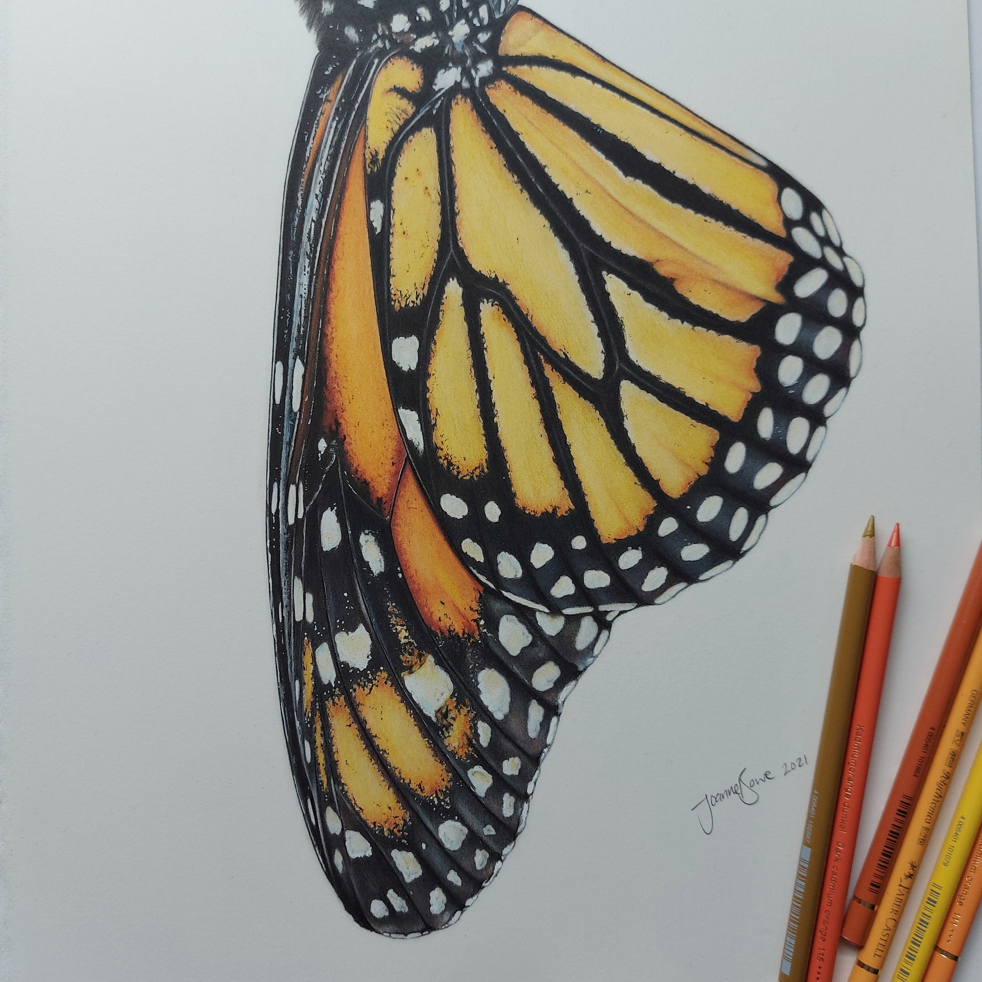 Monarch & Kowhai ORIGINAL - Joanne Bowe | New Zealand Artist