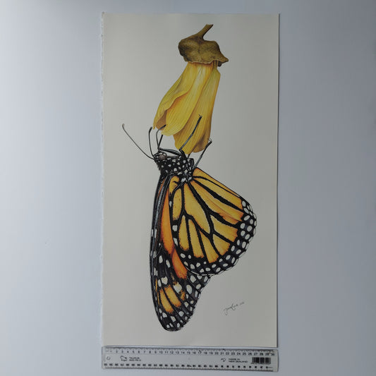 Monarch & Kowhai ORIGINAL - Joanne Bowe | New Zealand Artist