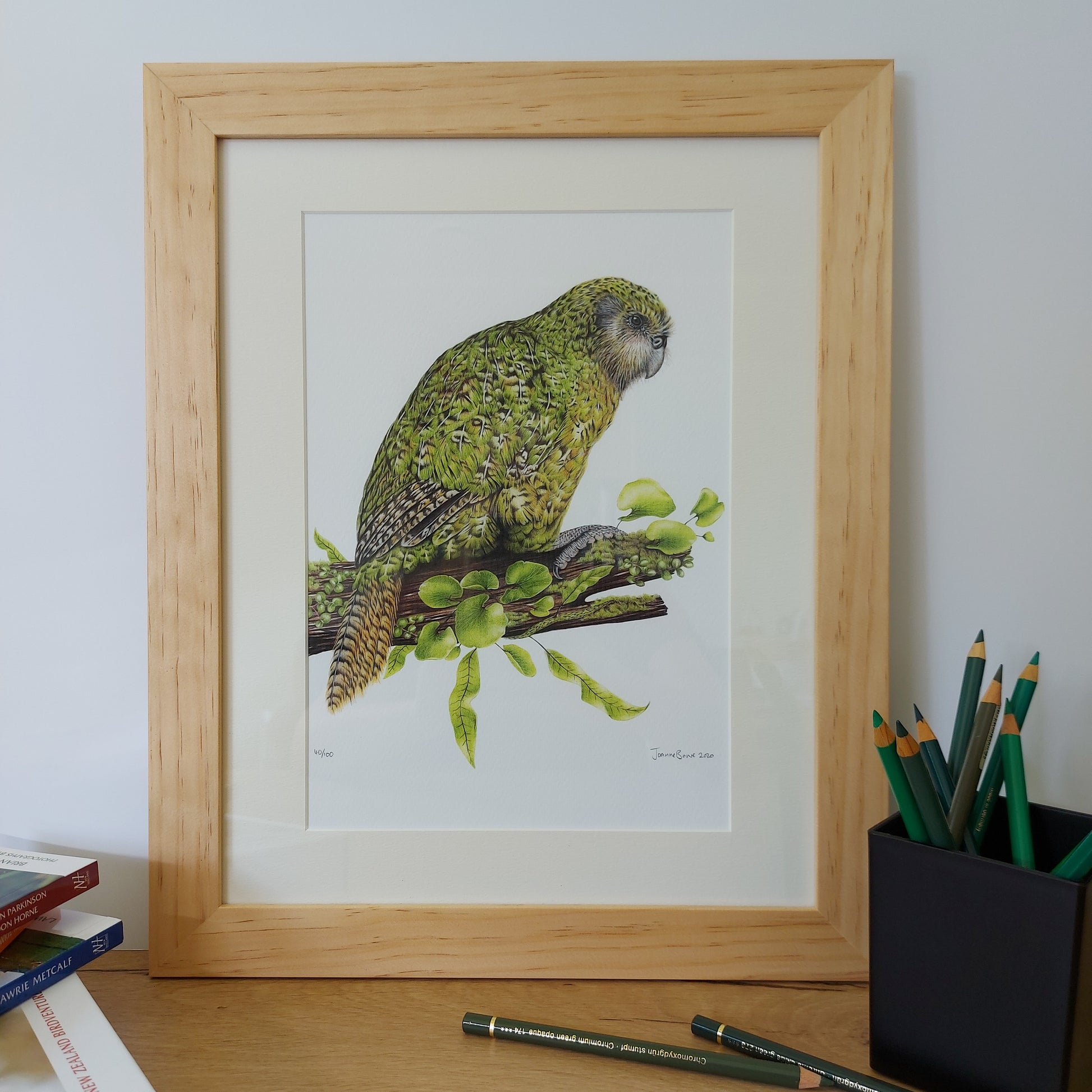 FRAMED Kakapo - Joanne Bowe | New Zealand Artist