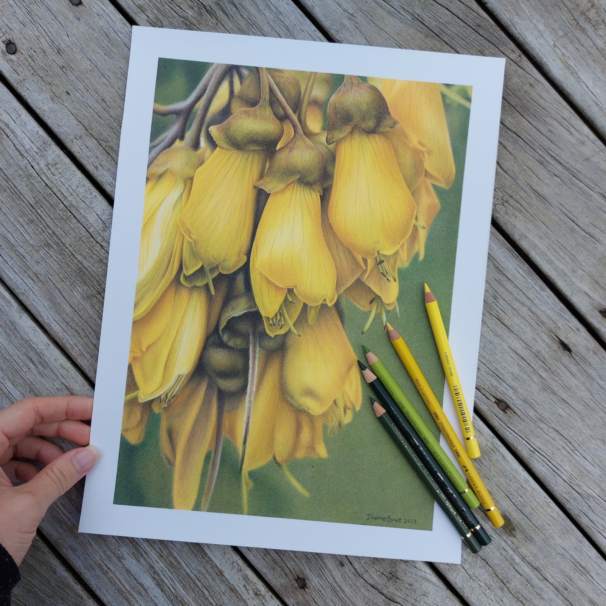 Kōwhai Flowers ORIGINAL - Joanne Bowe | New Zealand Artist