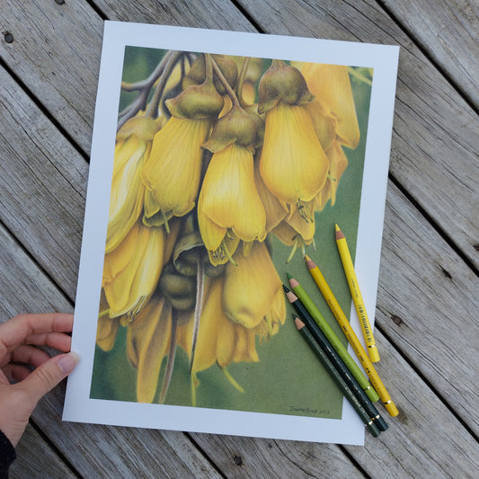 Kōwhai Flowers ORIGINAL - Joanne Bowe | New Zealand Artist