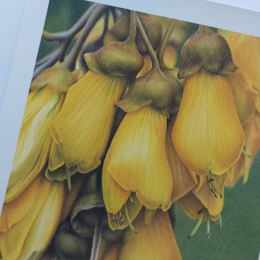 Kōwhai Flowers ORIGINAL - Joanne Bowe | New Zealand Artist