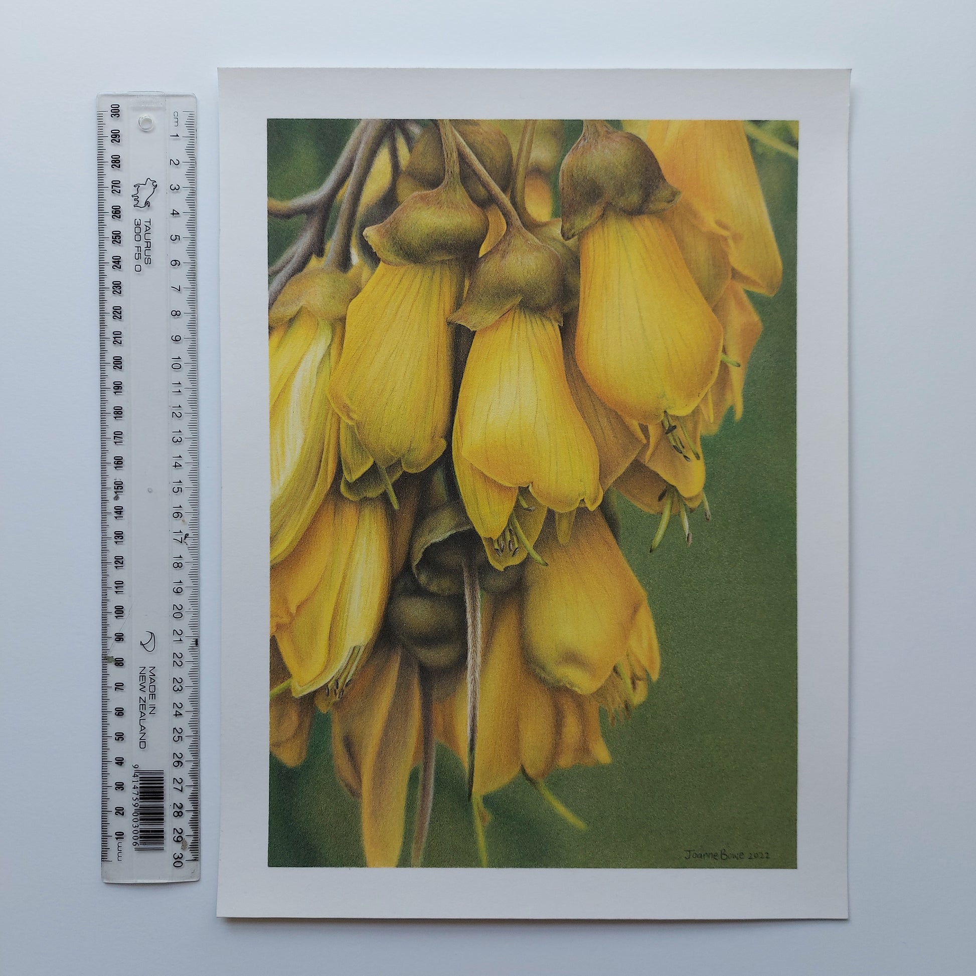 Kōwhai Flowers ORIGINAL - Joanne Bowe | New Zealand Artist