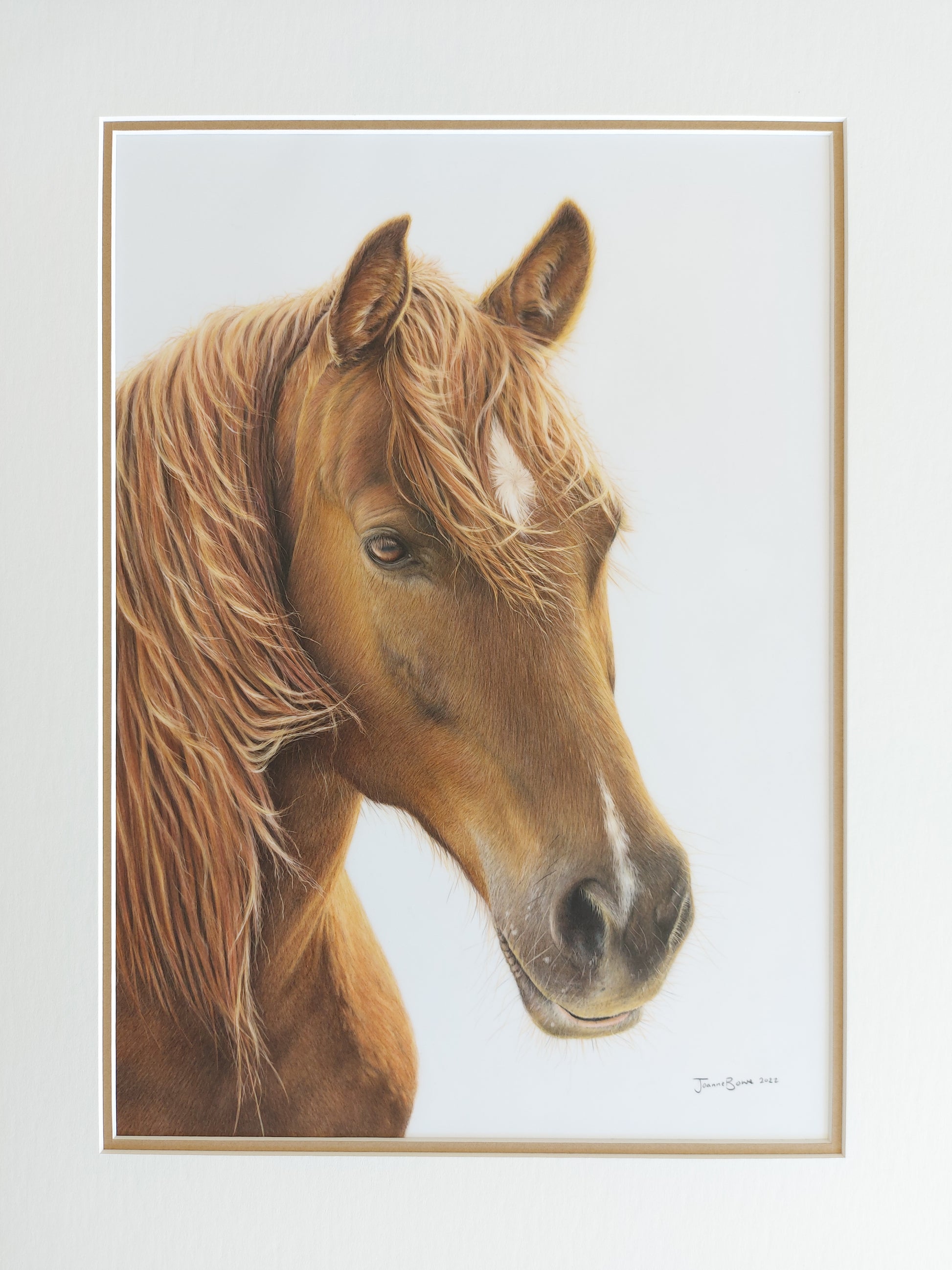 Horse ORIGINAL - Joanne Bowe | New Zealand Artist