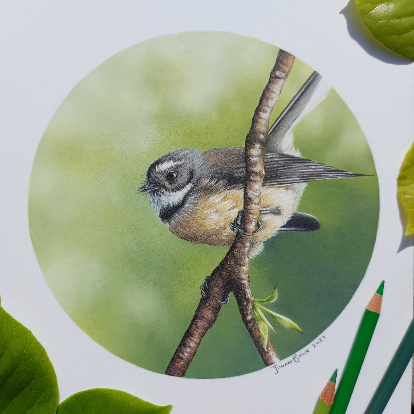 Fantail II ORIGINAL - Joanne Bowe | New Zealand Artist