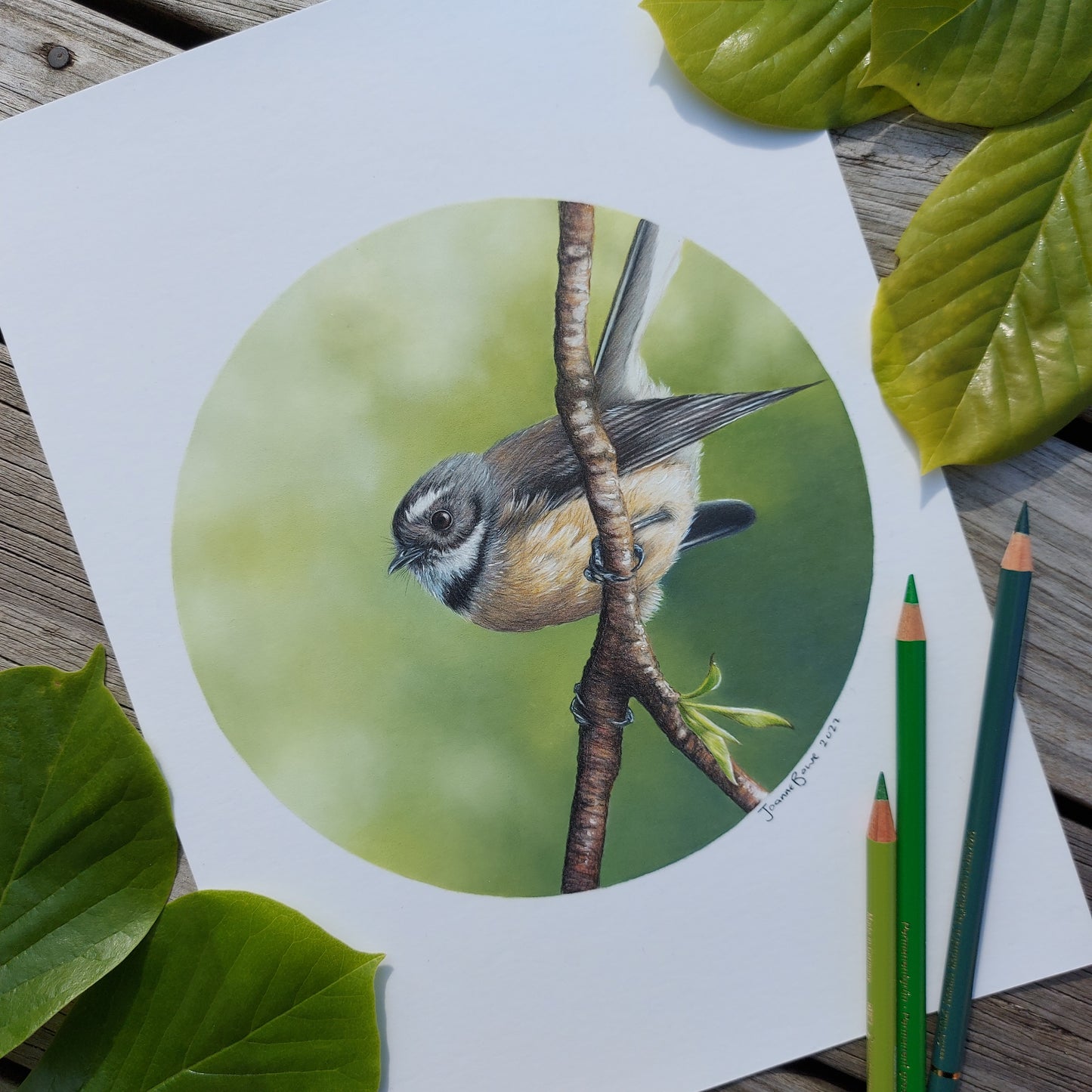Fantail II ORIGINAL - Joanne Bowe | New Zealand Artist