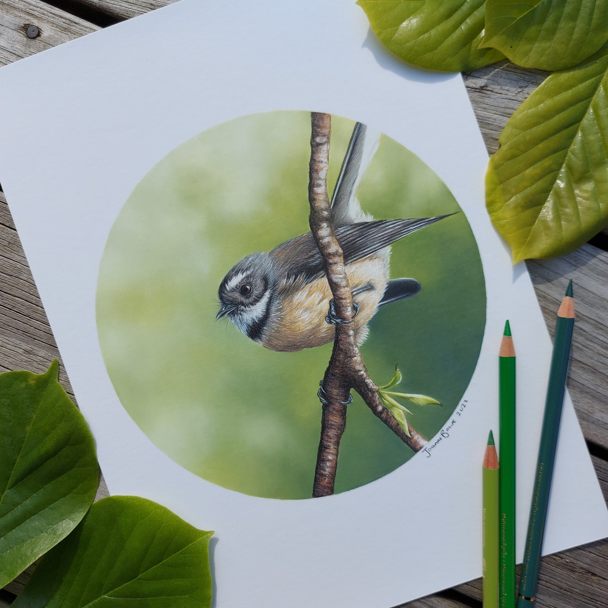 Fantail II ORIGINAL - Joanne Bowe | New Zealand Artist