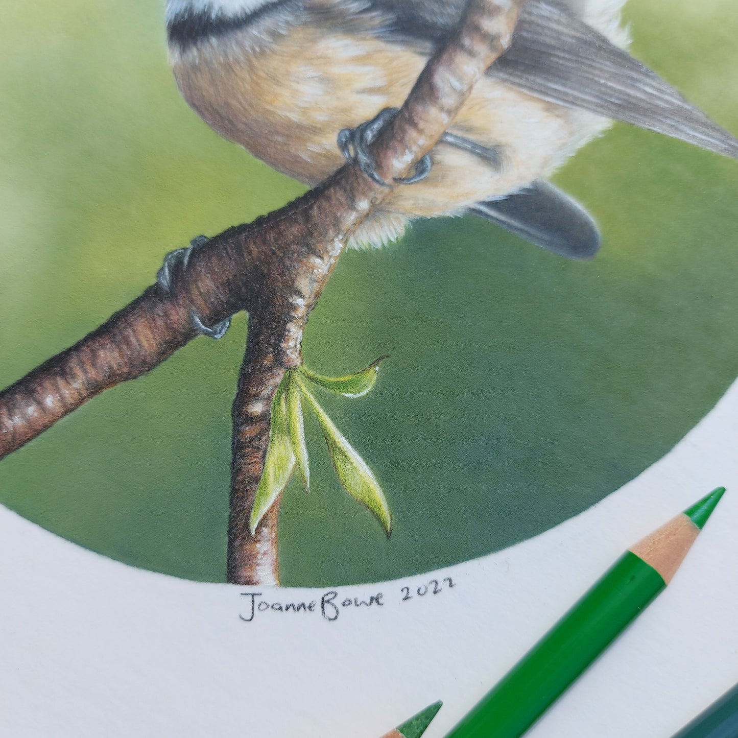 Fantail II ORIGINAL - Joanne Bowe | New Zealand Artist