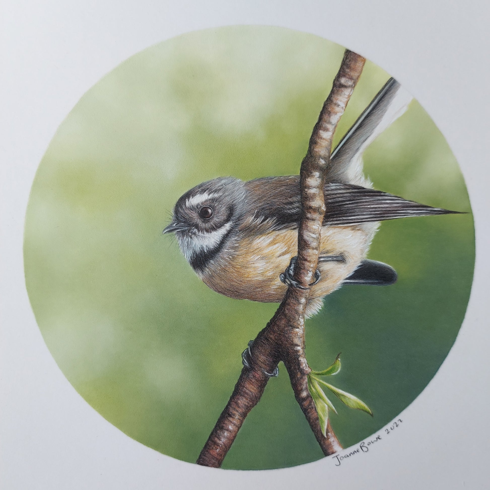 Fantail II ORIGINAL - Joanne Bowe | New Zealand Artist